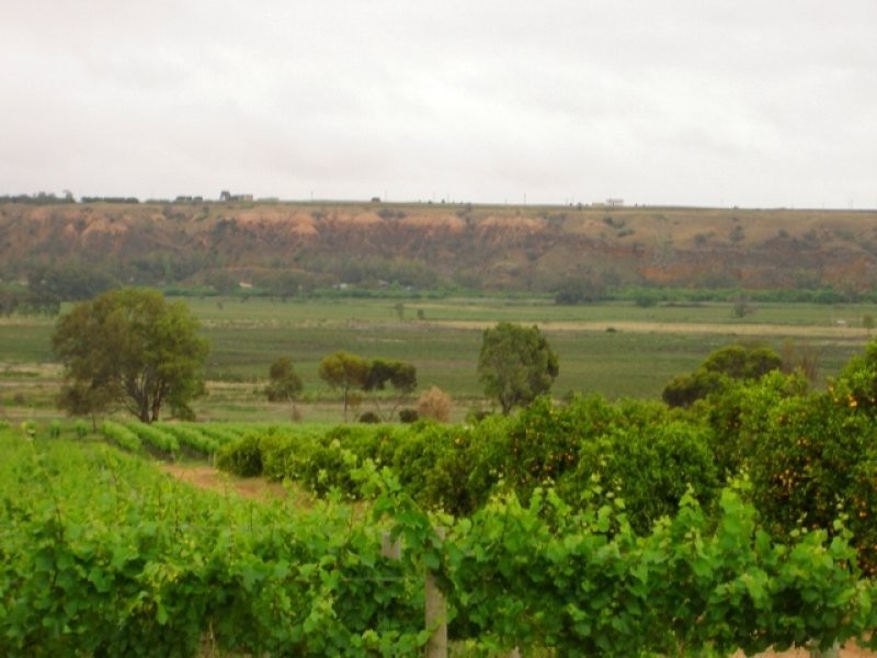 Lot 81 Balanada Drive, Murray Bridge SA 5253