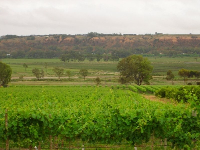 Lot 81 Balanada Drive, Murray Bridge SA 5253