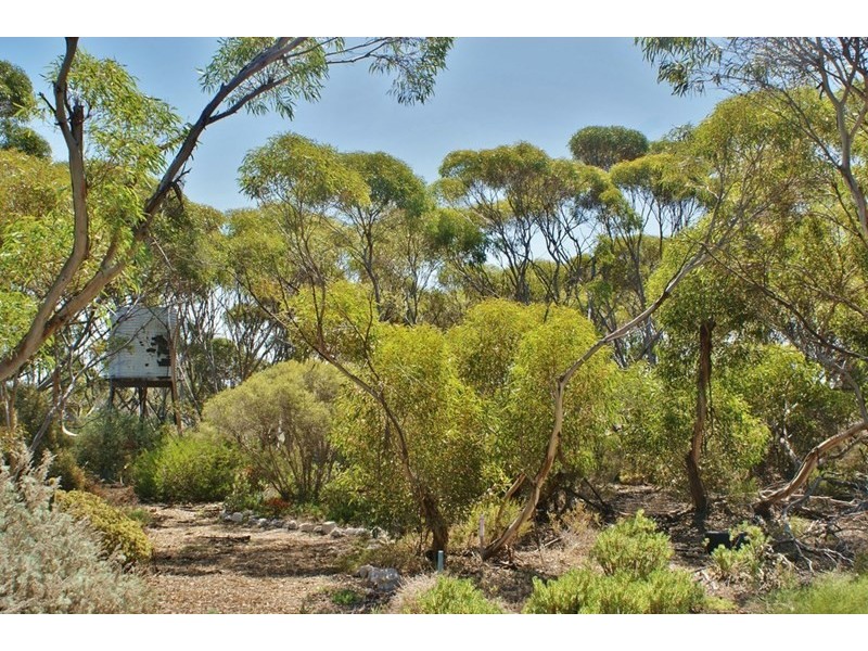 960 Ferries McDonald Road, Monarto South SA 5254