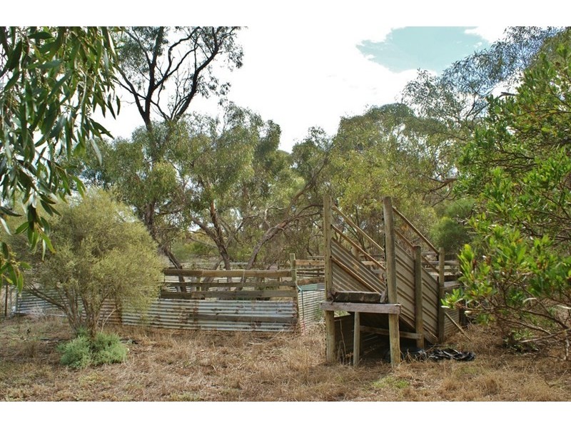 1062 Ferries McDonald Road, Monarto South SA 5254