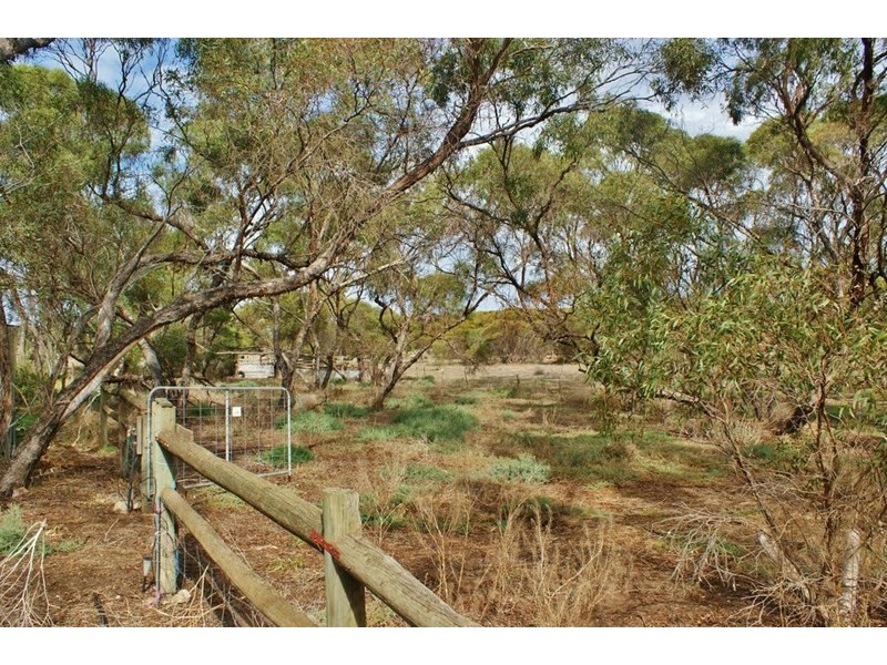 1062 Ferries McDonald Road, Monarto South SA 5254