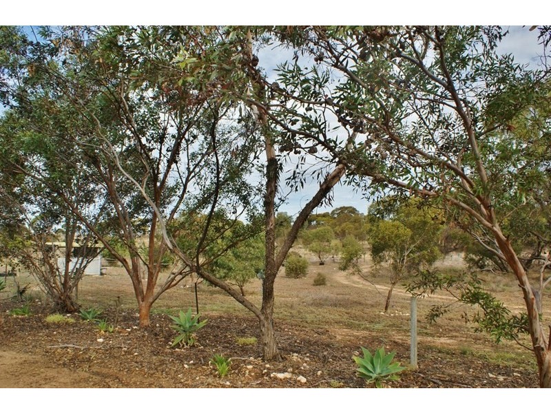 1062 Ferries McDonald Road, Monarto South SA 5254