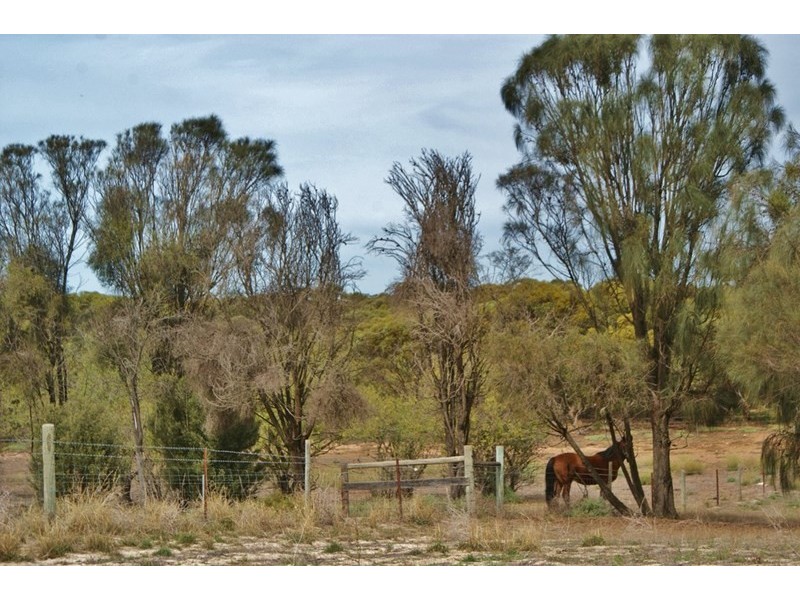 1062 Ferries McDonald Road, Monarto South SA 5254