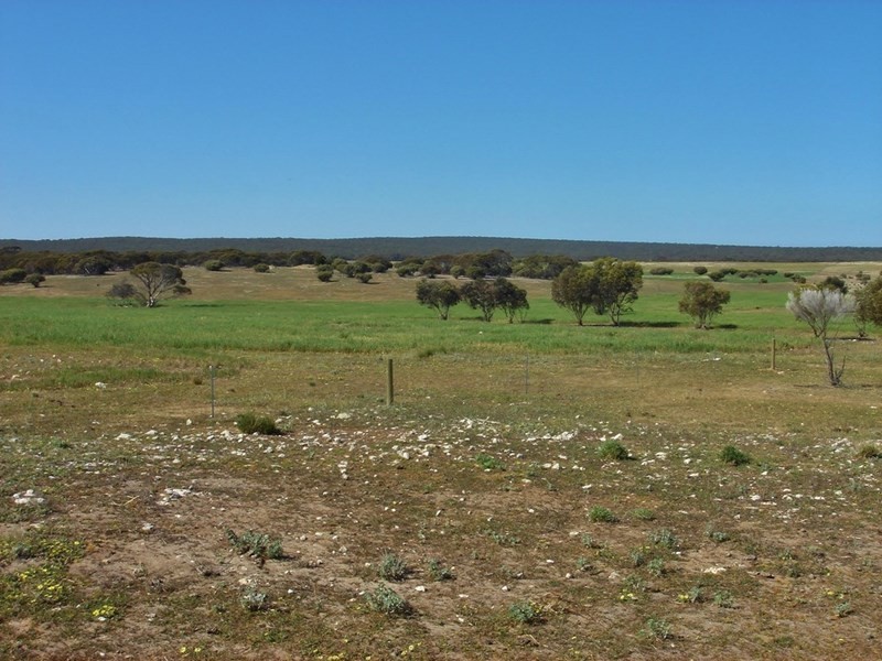 1062 Ferries McDonald Road, Monarto South SA 5254