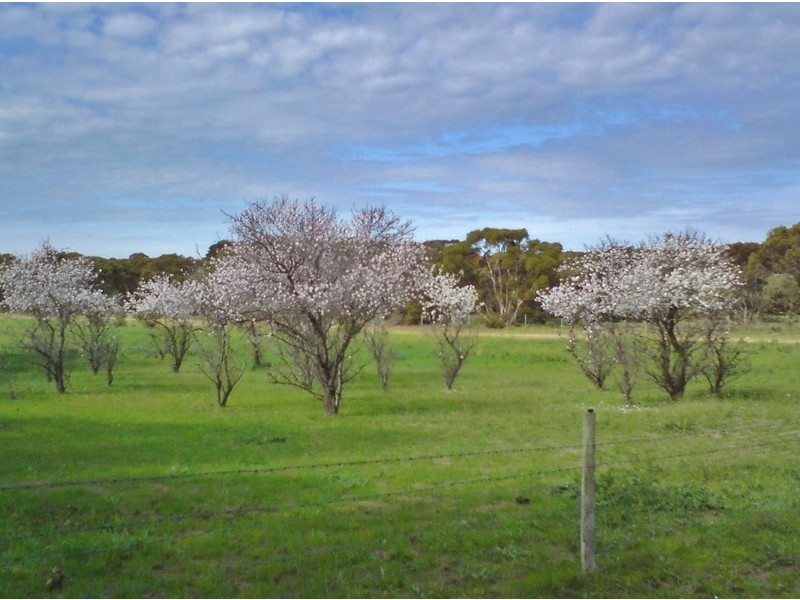 1062 Ferries McDonald Road, Monarto South SA 5254