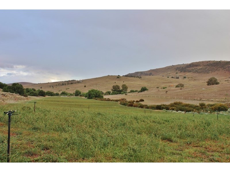 191 Gap Road, Palmer SA 5237