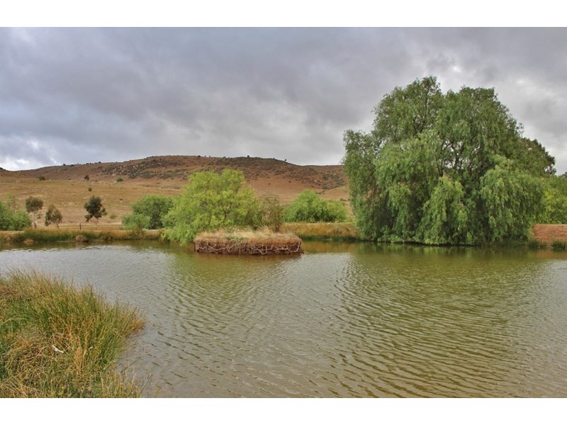 191 Gap Road, Palmer SA 5237