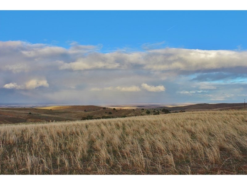 191 Gap Road, Palmer SA 5237