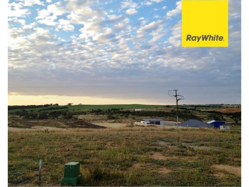 850 Honeyeater Drive, Mannum SA 5238