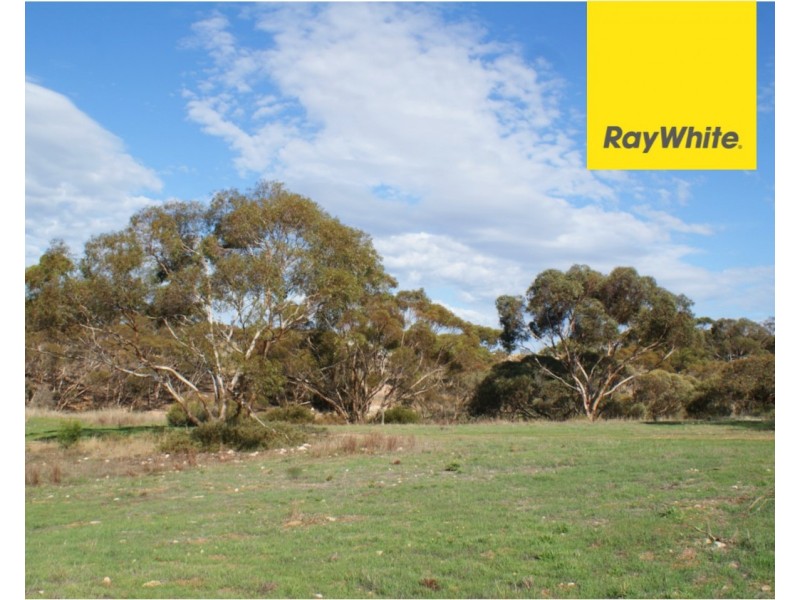 Lot 521 Crow Road, Murray Bridge SA 5253
