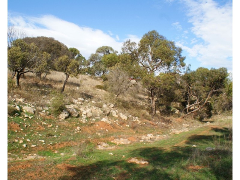 Lot 521 Crow Road, Murray Bridge SA 5253