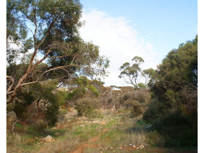 Lot 521 Crow Road, Murray Bridge SA 5253