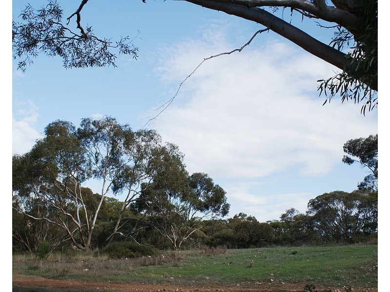Lot 521 Crow Road, Murray Bridge SA 5253