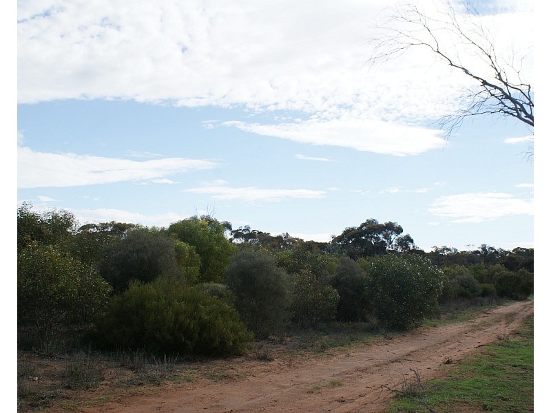 Lot 521 Crow Road, Murray Bridge SA 5253
