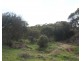 Lot 521 Crow Road, Murray Bridge SA 5253