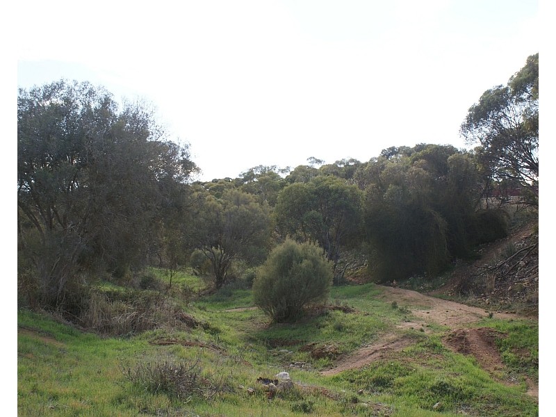 Lot 521 Crow Road, Murray Bridge SA 5253