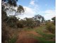 Lot 521 Crow Road, Murray Bridge SA 5253