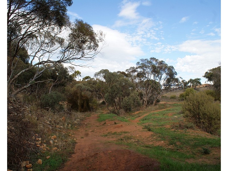 Lot 521 Crow Road, Murray Bridge SA 5253