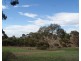Lot 521 Crow Road, Murray Bridge SA 5253