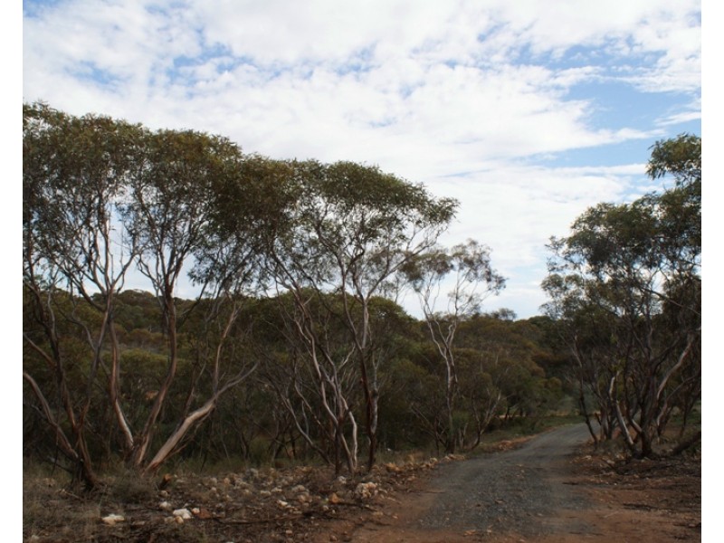 Lot 521 Crow Road, Murray Bridge SA 5253