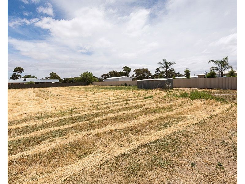 41 Rayson Street, Murray Bridge SA 5253