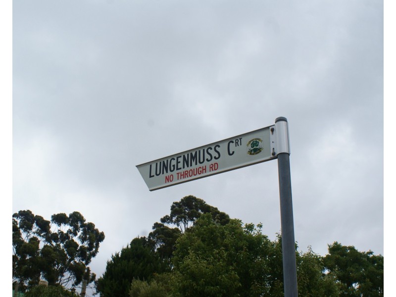 7 Lungenmuss Court, Nairne SA 5252