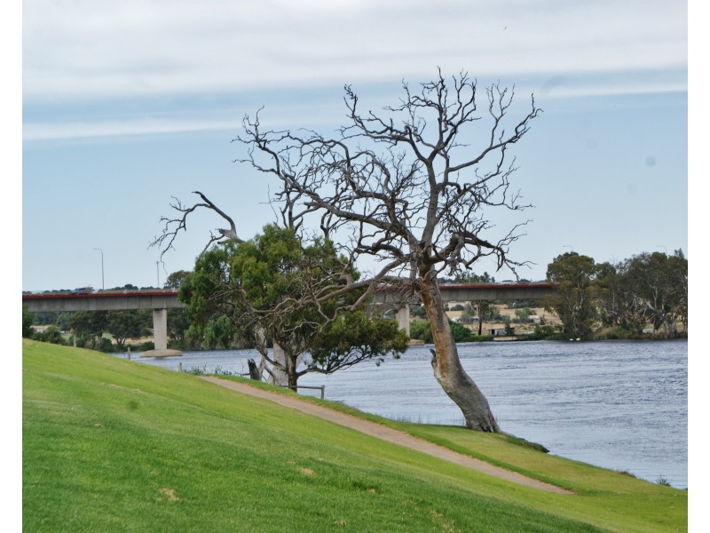 33 Queen Louisa Drive, Murray Bridge SA 5253