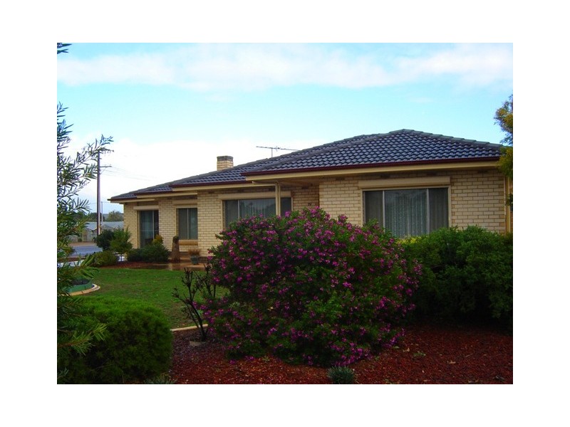 19 Gwen Street, Murray Bridge SA 5253