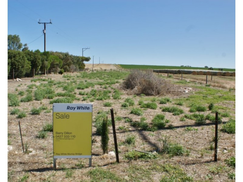 Lot 358 Jervois Road, Woods Point SA 5253