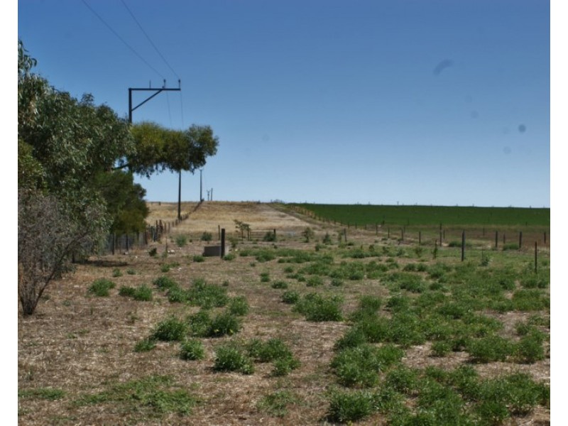 Lot 358 Jervois Road, Woods Point SA 5253