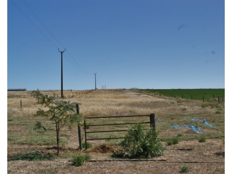 Lot 358 Jervois Road, Woods Point SA 5253