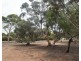 17110 Karoonda Highway, Murray Bridge SA 5253