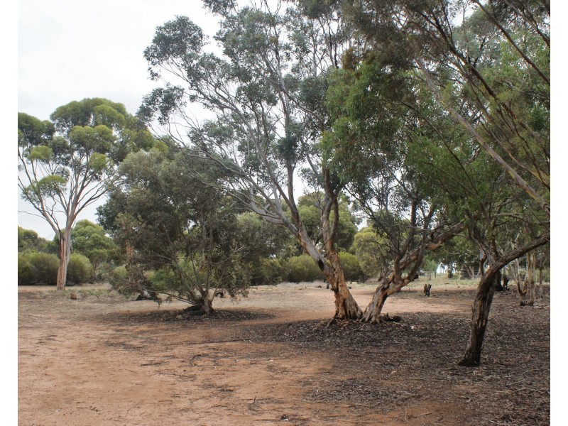 17110 Karoonda Highway, Murray Bridge SA 5253
