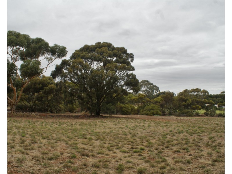 17110 Karoonda Highway, Murray Bridge SA 5253