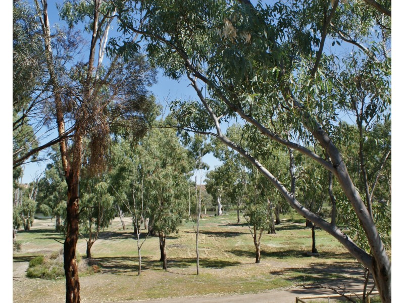 77 Marks Landing, Swan Reach SA 5354