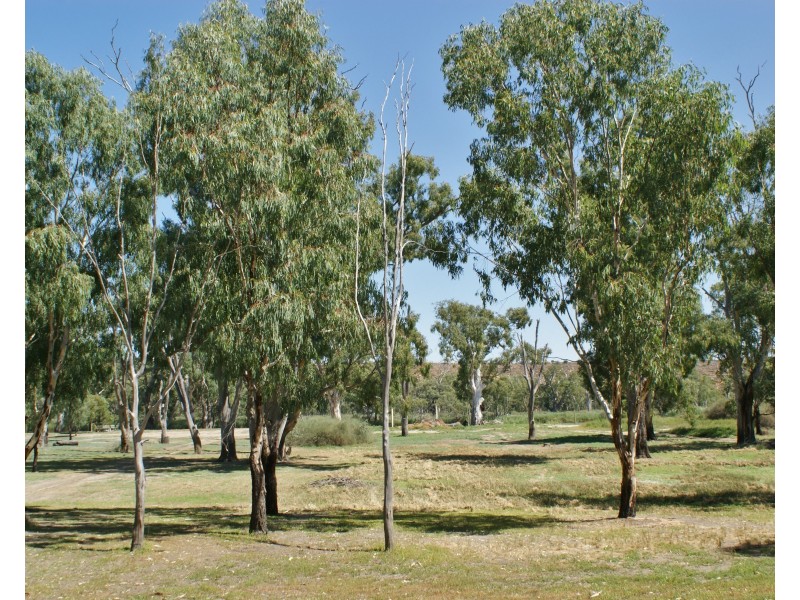 77 Marks Landing, Swan Reach SA 5354