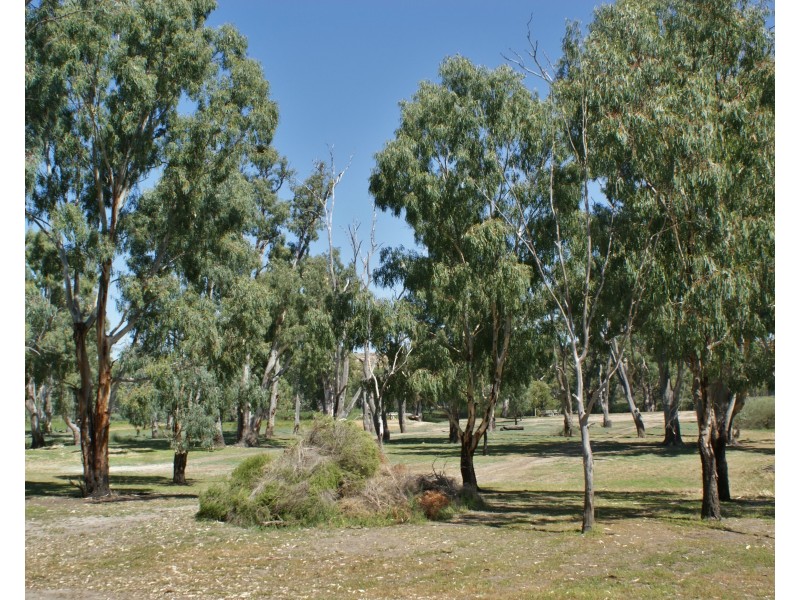 77 Marks Landing, Swan Reach SA 5354