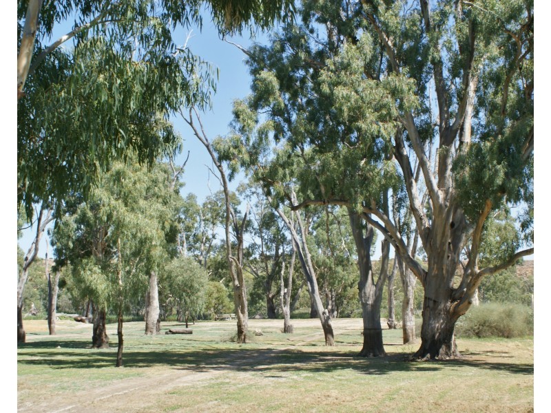 77 Marks Landing, Swan Reach SA 5354