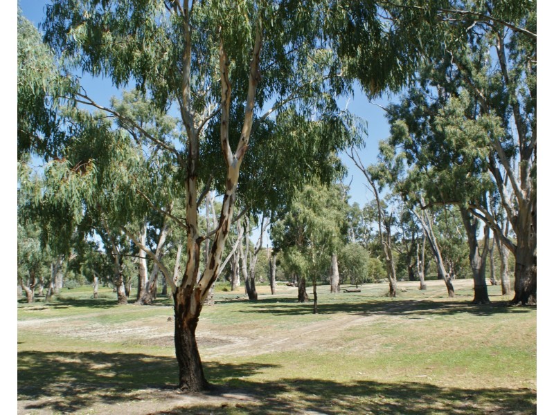 77 Marks Landing, Swan Reach SA 5354