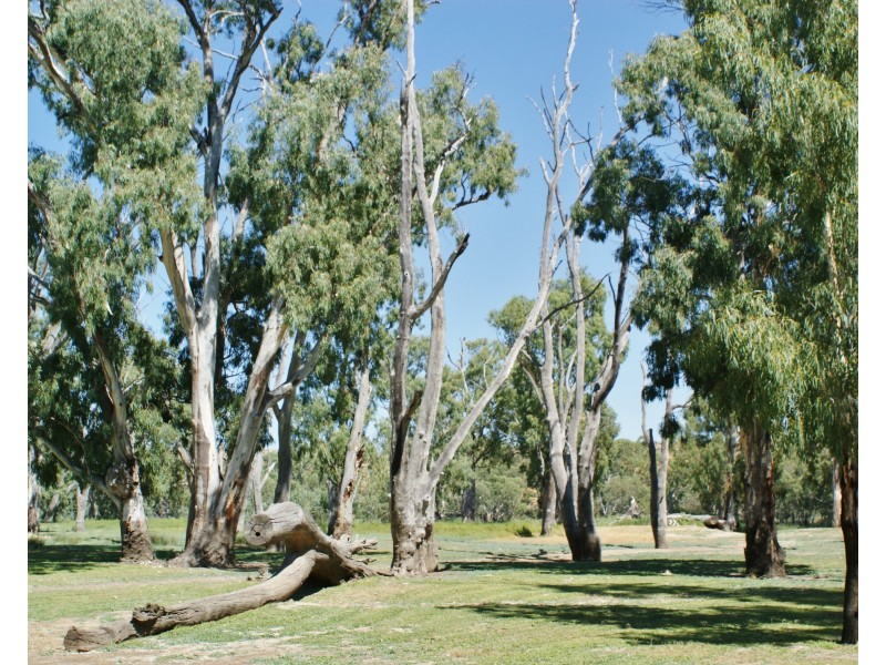 77 Marks Landing, Swan Reach SA 5354