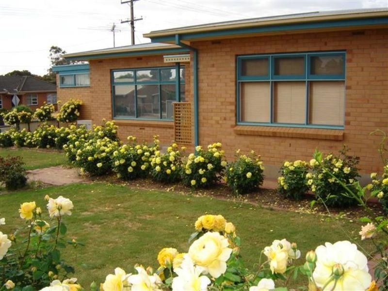 11a Potter Avenue, Murray Bridge SA 5253