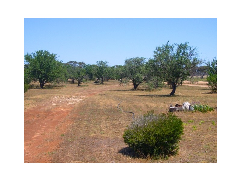 Lot 150 Dukes Highway, Tailem Bend SA 5260