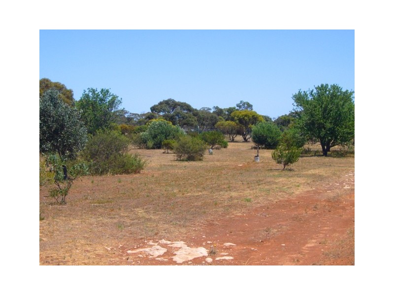 Lot 150 Dukes Highway, Tailem Bend SA 5260