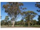 Lot 51 Ritter Street, Murray Bridge SA 5253