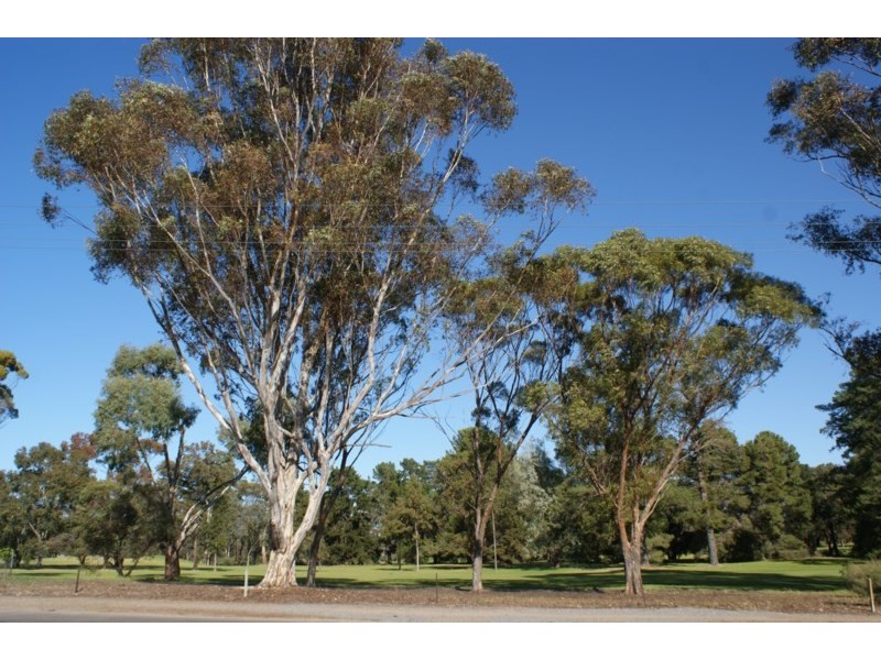 Lot 51 Ritter Street, Murray Bridge SA 5253