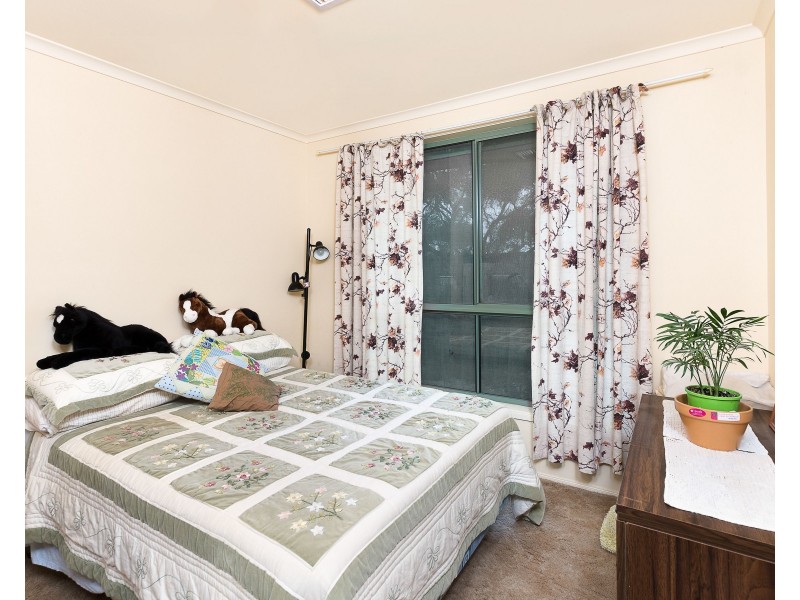 1163 Ferries McDonald Road, Monarto SA 5254