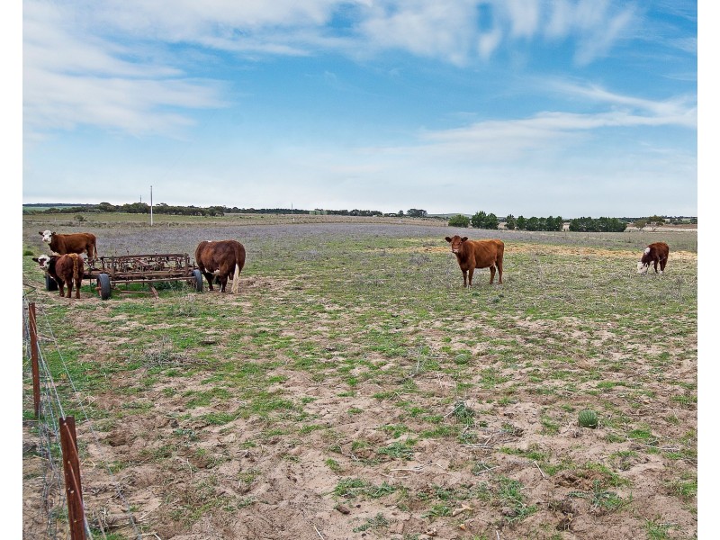 1163 Ferries McDonald Road, Monarto SA 5254