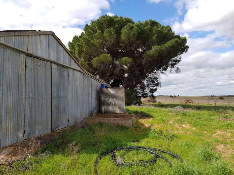 158 Garrick Bore Road, Karoonda SA 5307