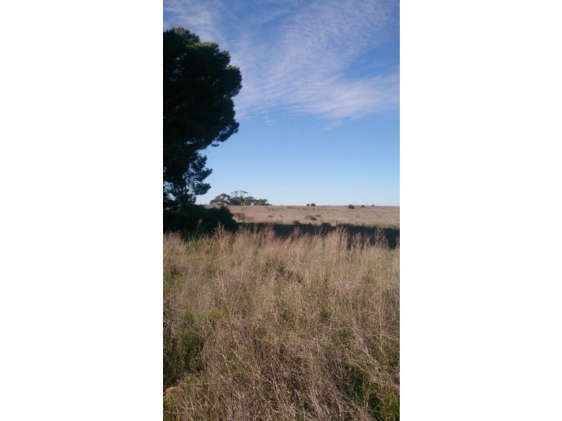 158 Garrick Bore Road, Karoonda SA 5307
