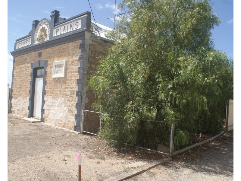 21 Darwin Road, Cooke Plains SA 5261